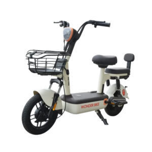 Metro Wonder Bike